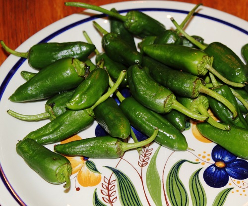 پادرون padron_02.jpg