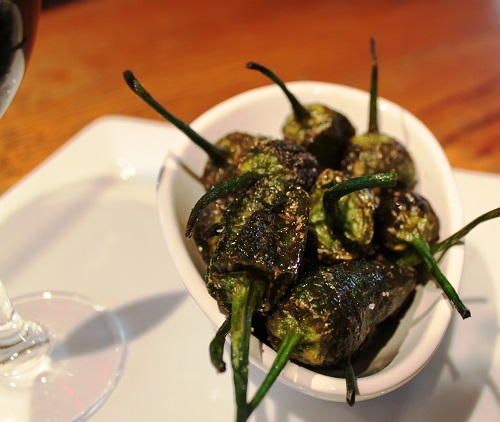 پادرون padron_04.jpg